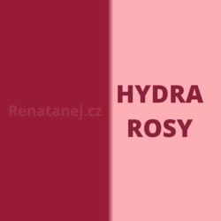 Avon Rtěnka matná hydratační Hydramatic HYDRA ROSY 3,6 g s pečujícím středem 09860 renatanej.cz