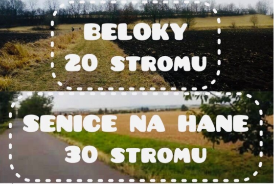 MY TREES a "Srdcofka" = 50 nově vysázených stromů